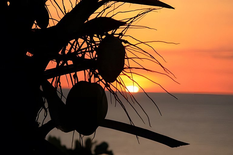 The Palms - Rustic Luxury in Providencia