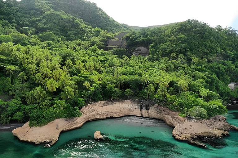 The Palms - Rustic Luxury in Providencia
