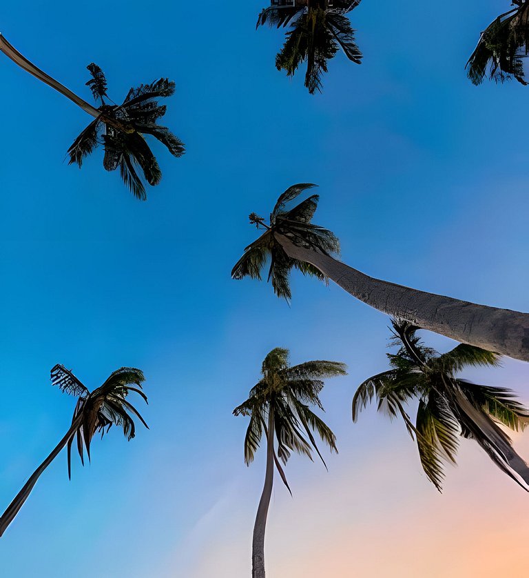 The Palms - Rustic Luxury in Providencia